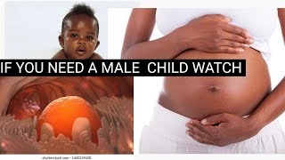 BEST TIME TO CONCIEVE A MALE CHILD/HOW TO GET PREGNANT TO A BABY BOY/ THINGS YOU MUST DO TO CONCIEVE