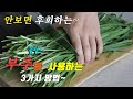 꿀팁 감사하고 맛있는 부추 요리 3가지~ 강쉪^^ korean food recipes, 3 kinds chives cooking recipes