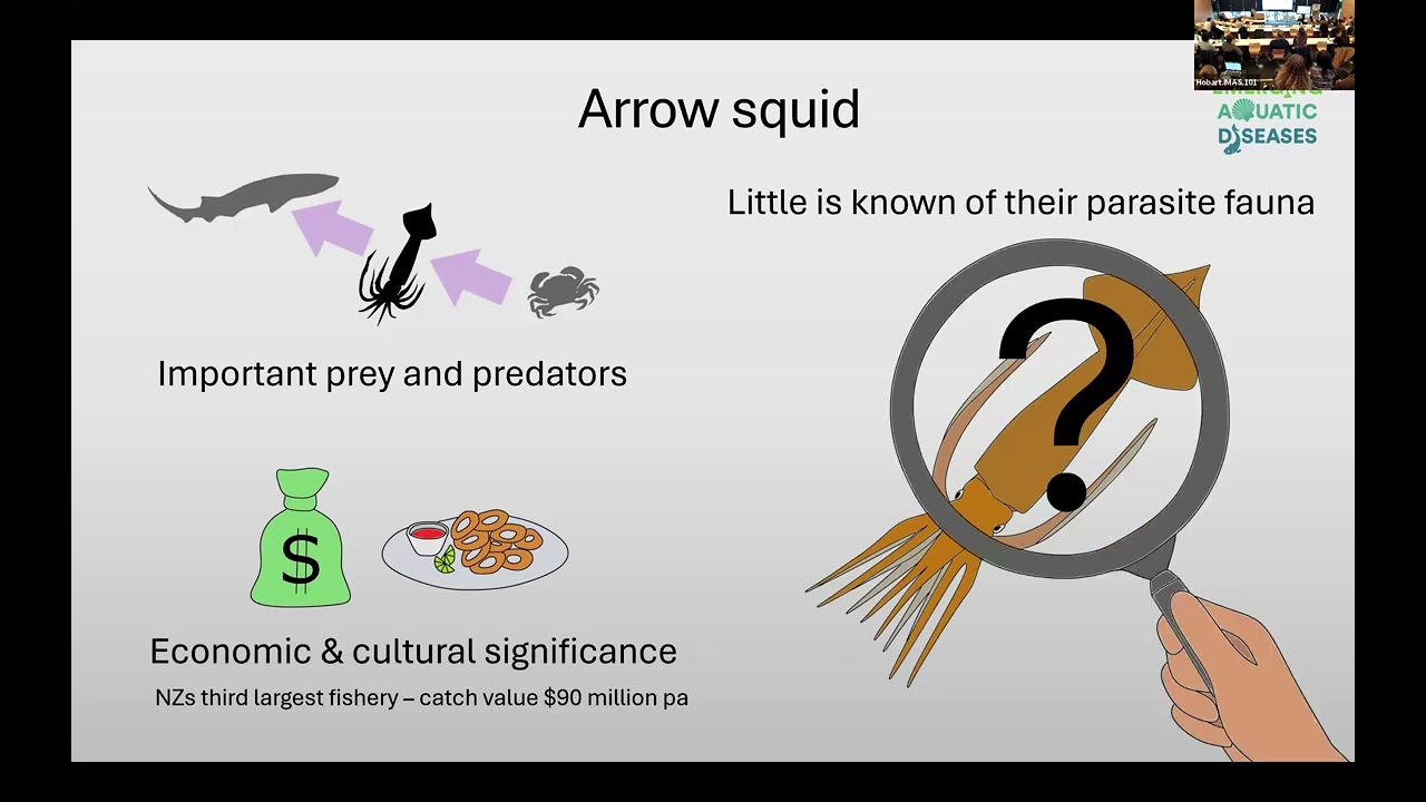 Tasmanian and Antarctic One Health 2025 | Jerusha Bennett – Parasites in Antarctic Squid