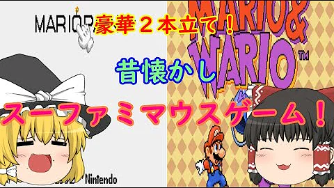 マリオペイント ワリオ