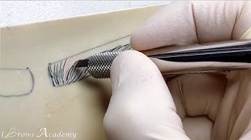 Applied Microblading Patterns S Curve Brows #1 | iBrows Academy