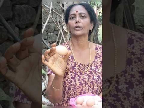 നല്ല വലിപ്പമുള്ള കോഴി മുട്ട കിട്ടാൻ ഇതാണ് മാർഗ്ഗം 👌#kozikrishi#chickenfarm#farmingidea #kozikrishi