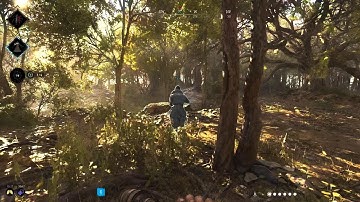 HUNT: SHOWDOWN peek a boo