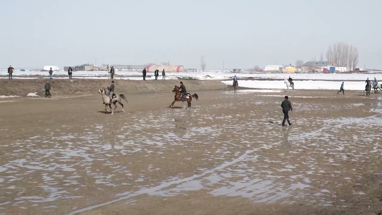 Erzurum Karma Kara Cirit