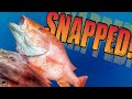 Hunt for Red Snapper | A Texas Deep Sea Fishing Adventure!