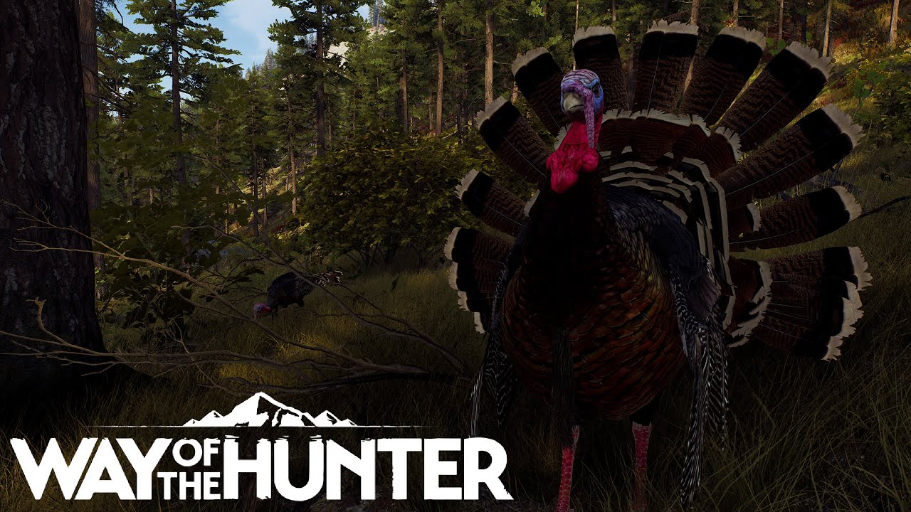 Новые индюки от Way Of The Hunter — настоящее разочарование!