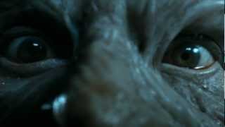 Spike Against Satanklaas Old Version --Viewing Age 16