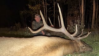 Full My Biggest *Bull Elk* Ever with a Bow! (Catch & Cook) News