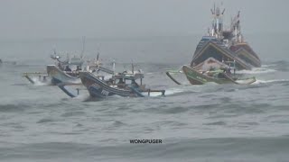 #info kamis pagi 16 Mei 2024 ombak plawangan dengan ikan melimpah kapal boat puger