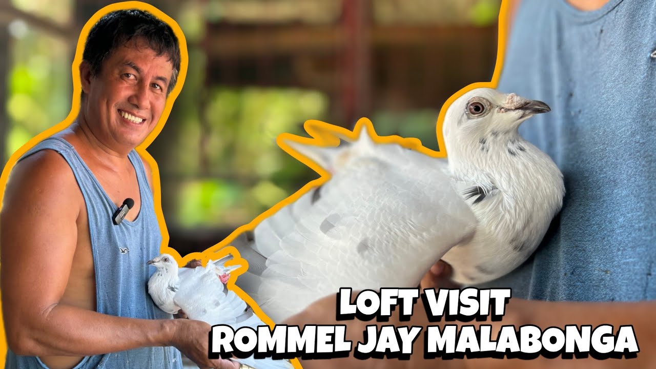 Isa sa pinaka mahusay at veteran fancier ng Mauban Quezon