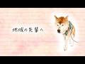 「地域の先輩へ」― 愛犬へ贈る感謝の手紙(コンテスト入賞作品)―