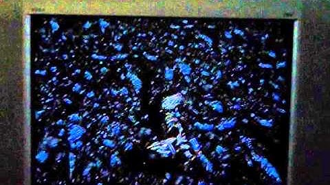 Skyrim Glitch Under Solitude