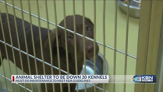 Space at Wichita Animal Shelter could get tight