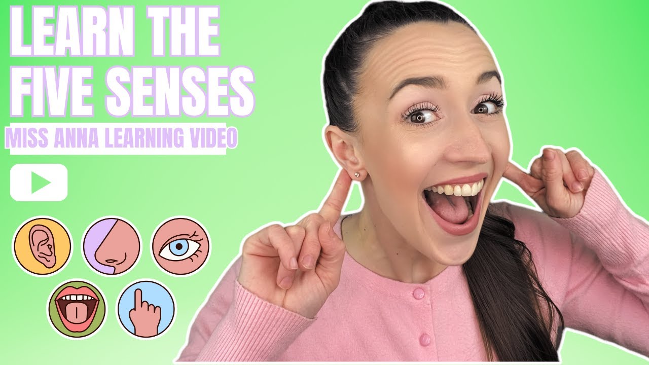 Five Senses Fun - Toddler Learning Video - Speech Articulation, Sign Language, Songs & More!