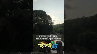 🌿 हिरवीगार वनराई, थंडगार हवा अन् निसर्गाचा सुंदर अनुभव 🍃 | कोकणचा निसर्ग ❤️ #Shorts