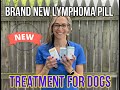 Brand New Lymphoma Pill Treatment For Dogs, Is It A Game Changer? VLOG 134
