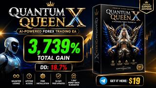 Quantum Queen X EA Review | Best Gold Trading Robot for MT5