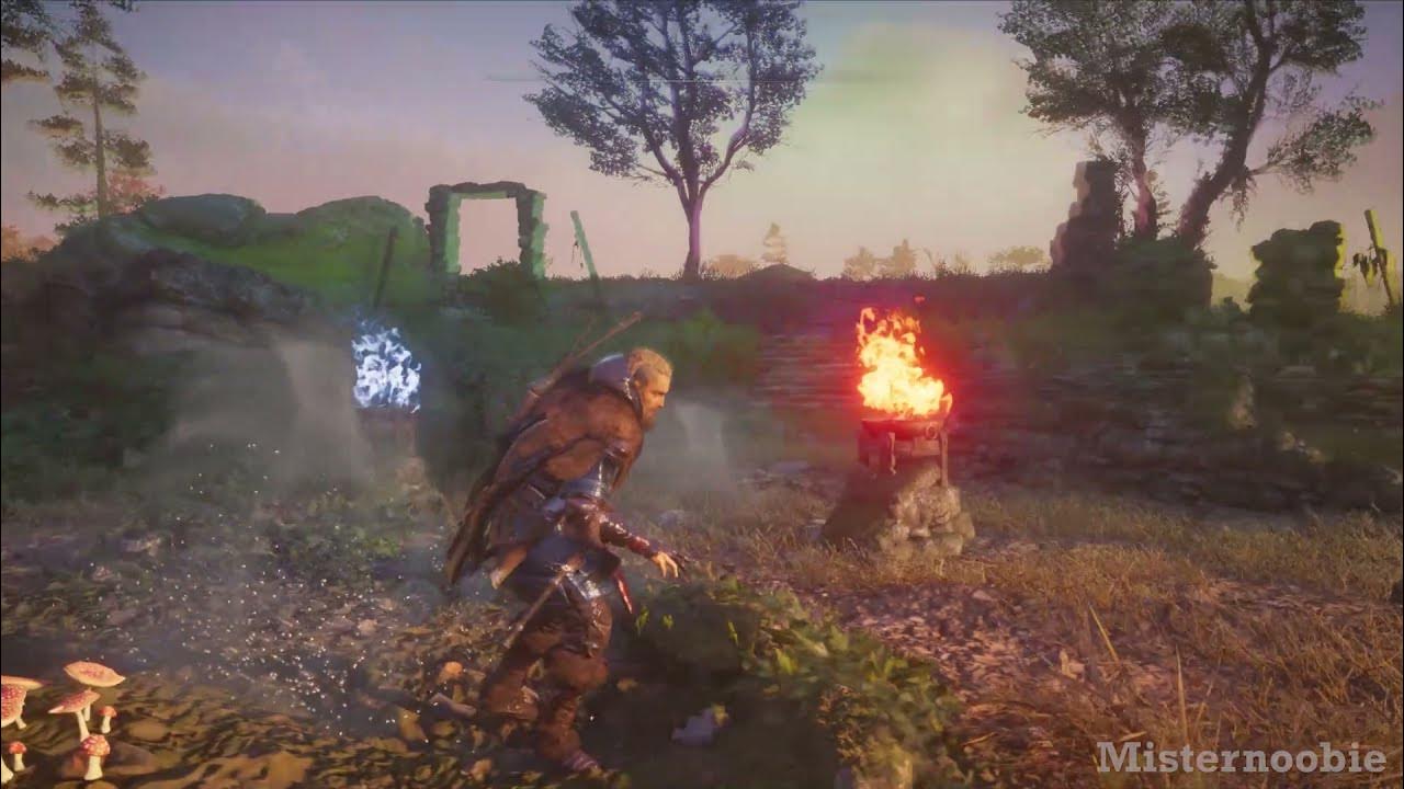 Hallucination Challenge Assassin's Creed Valhalla Fly Agaric