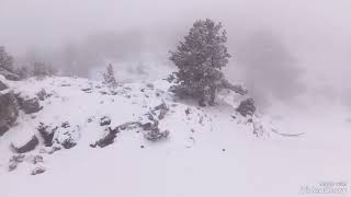 Download Lagu Orjen 15.01.2024 MP3