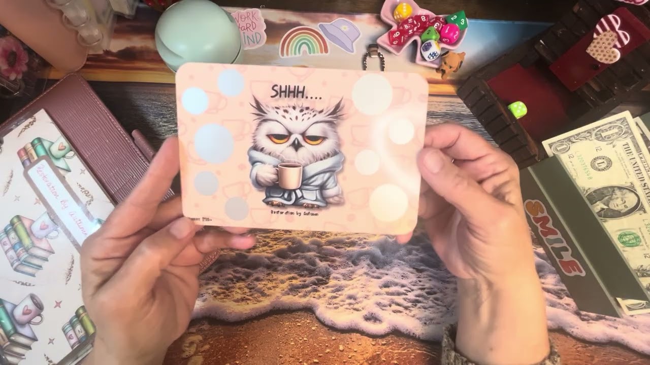 SINKING FUNDS | COFFEE & BOOKS | SNOOPY BOX CHALLENGE