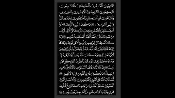 205 الصفحة من القران الكريم-الشيخ أحمد عيسى المعصراوي #صفحات_النور #quran #المصحف #ماتيسر_من_القرآن