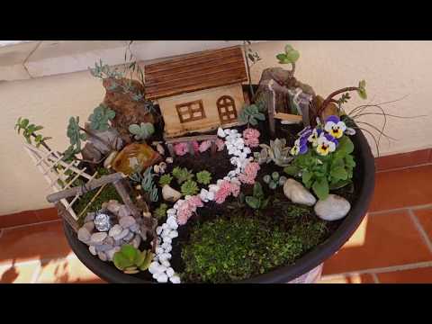 Vídeo: Jardí En Miniatura A L’ampit De La Finestra