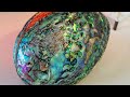 NZ Paua / Abalone shell polishing (How-To)