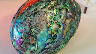 NZ Paua / Abalone shell polishing (HowTo)