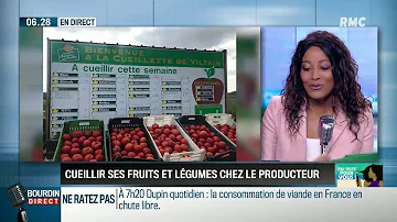 Ou ramasser ses légumes en Gironde ?