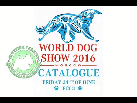 WDS-2016 Шотландский (скотч)