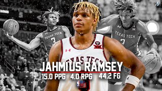 Jahmi'us Ramsey Texas Tech 2019-20 Season Montage | 15 PPG 4.0 RPG 44.2 FG% #NBADRAFT