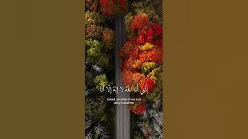 اذكروا الله #quran #تلاوات #القرآن_الكريم #تلاوه #لايك #راحة_نفسية #حالات_واتس #ماهر_المعيقلي