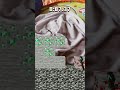 やなはまらや