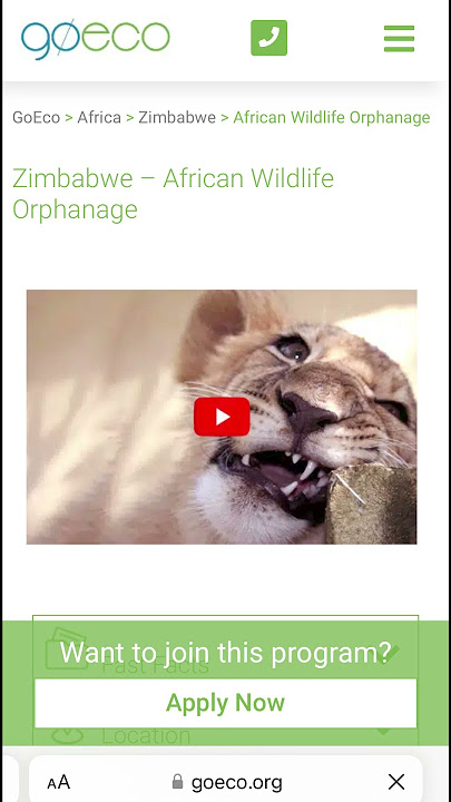 Volunteer in Africa PART 1 #internationalvolunteering #goeco #wildlife #africa