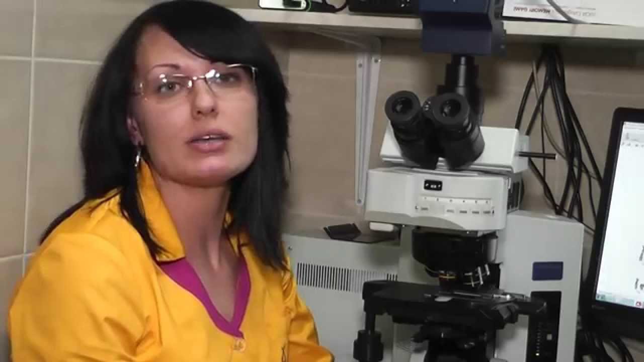 Цитогенетические исследования. Кариотип, хромосомный паспорт человека, показания