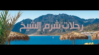 السياحه في شرم الشيخ | وكاله اميال للسفر والسياحه