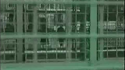 NSRD - La Danse Binoculaire de Paris (1990) - 1