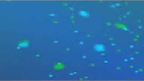 سورة التين بصوت الشيخ القارئ محمود خليل الحصري