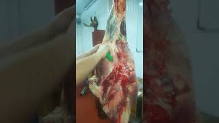 Separar brazuelo paso a paso /El taller del caricero (corte facil basico)