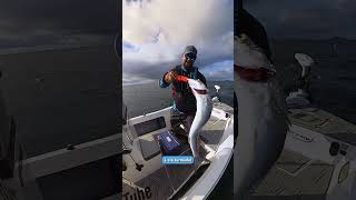 Acontece!!! Pesca com isca artificial no mar | Bicuda