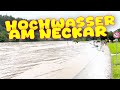 Hochwasser in Hirschhorn am Neckar 01.06.2024