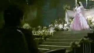 majlis perkahwinan siti nurhaliza