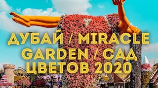 Дубай 2020 Miracle Garden или Сад Чудес - самый большой цветочный сад