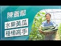 草地狀元-水果黃瓜種植專家(20180514播出)careermaster