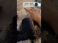 ⑤天の川イメージしたセーターを編む#knitting #野呂栄作 #棒針編み #ダイソー毛糸 #セリア毛糸　#ヨーロッパの手あみ