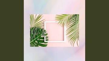 Sublime Backdrops for Successful Images