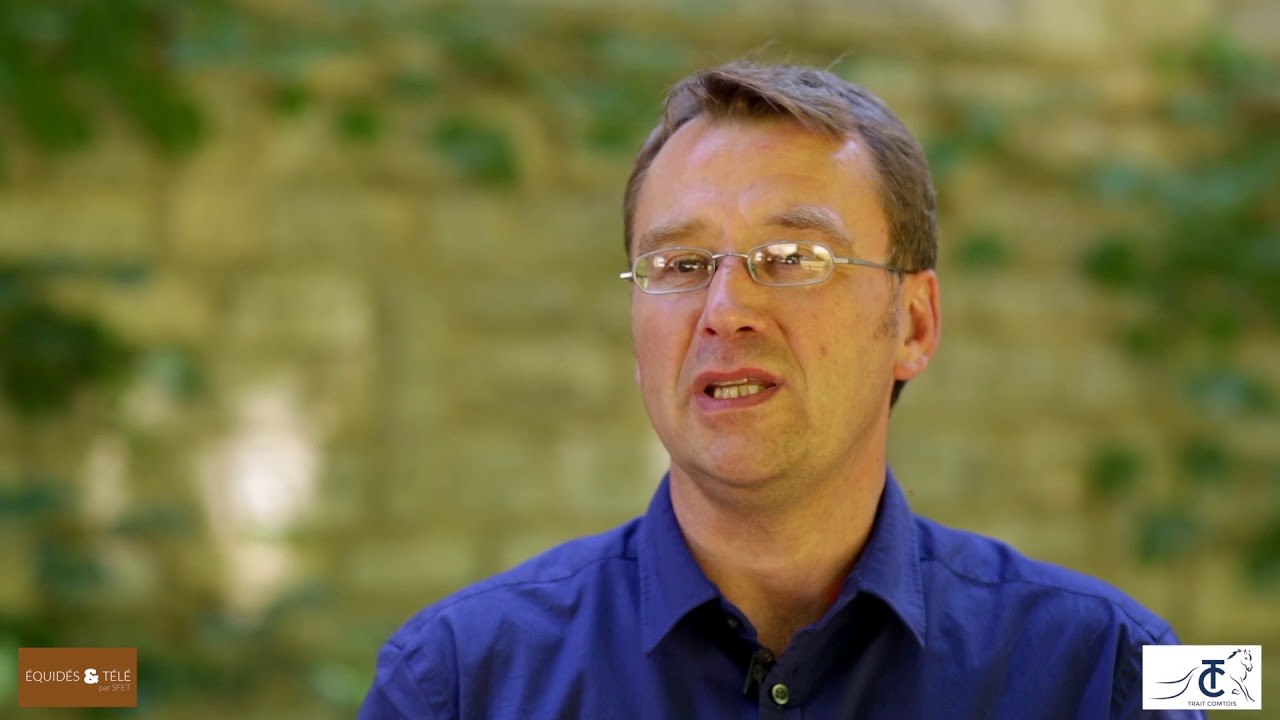 Le Crédit Agricole de Franche-Comté soutient le cheval de ...