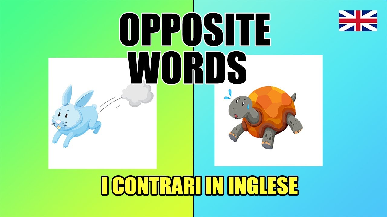 Dizionario Dei Sinonimi E Contrari Inglese I contrari in inglese | Opposite Words in English - YouTube