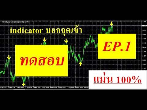 Indicator forex 5 ดาว