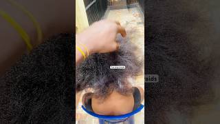 Two step braids without extension #braids #hair #extension #shortsfeed #hairstyles #knotlessbraids